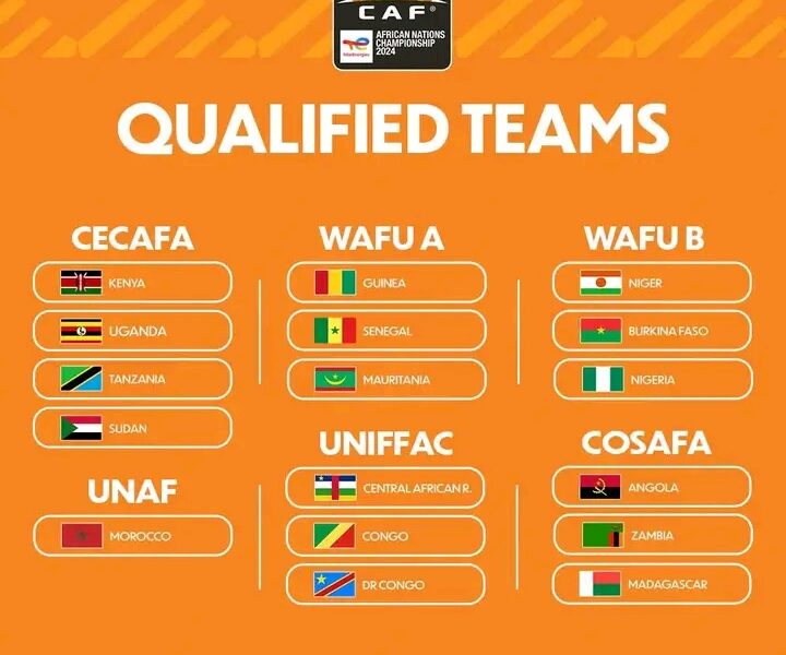 CAF moves to postpone African Nations Championship