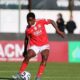 Christy Ucheibe scores first goal of 2025 to lift SL Benfica into Taça da Liga semifinals Christy Ucheibe scores first goal of 2025 to lift SL Benfica into Taça da Liga semifinals