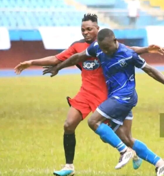 NNL Super 8: Yobe Desert Stars, Osun United Stay on Track for NPFL Promotion