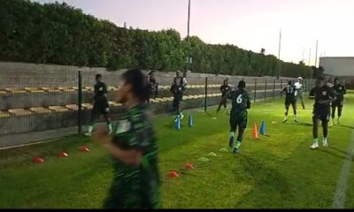 Flamingos regroup after New Zealand thriller, shift focus to Paraguay test Flamingos regroup after New Zealand thriller, shift focus to Paraguay test