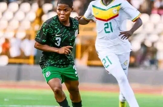 NFF Announces Coaching Vacancies For Flamingos, Golden Eaglets, Flying Eagles, Olympic Eagles