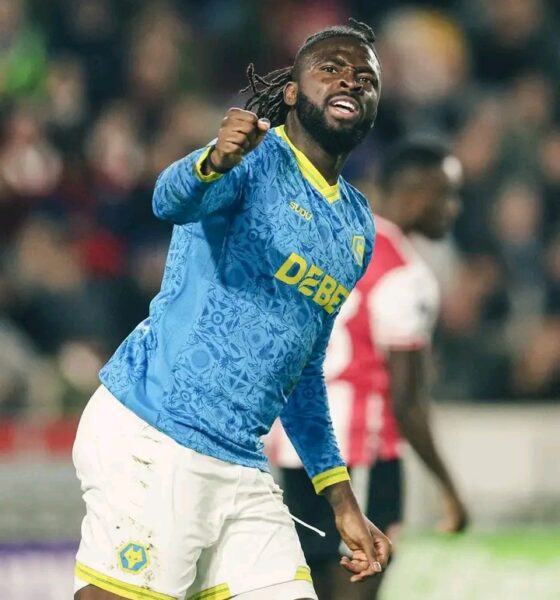 Tolu Arokodare Strikes Again as Wolves Hold Brentford in Thriller