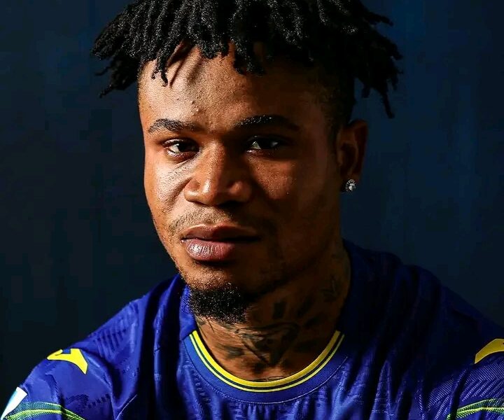 Gift Orban Issues Public Apology After Altercation with Hellas Verona Fan