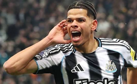 NFF Moves to Secure Newcastle Forward William Osula for Super Eagles Switch