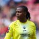 Nwabali backs under-fire Nnadozie after Super Falcons stunned by Malawi Nwabali backs under-fire Nnadozie after Super Falcons stunned by Malawi
