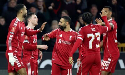 Tottenham target Liverpool forward Cody Gakpo as interest grows
