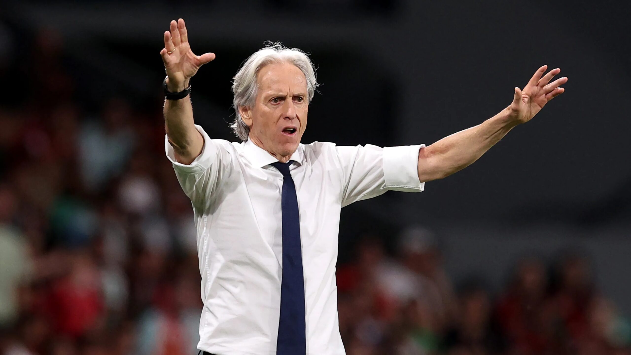 Portugal fans back Jorge Jesus and Cristiano Ronaldo during Denmark win Portugal fans back Jorge Jesus and Cristiano Ronaldo during Denmark win