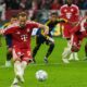 Kane strikes twice as Bayern Munich punish Arsenal after Timber handball Kane strikes twice as Bayern Munich punish Arsenal after Timber handball