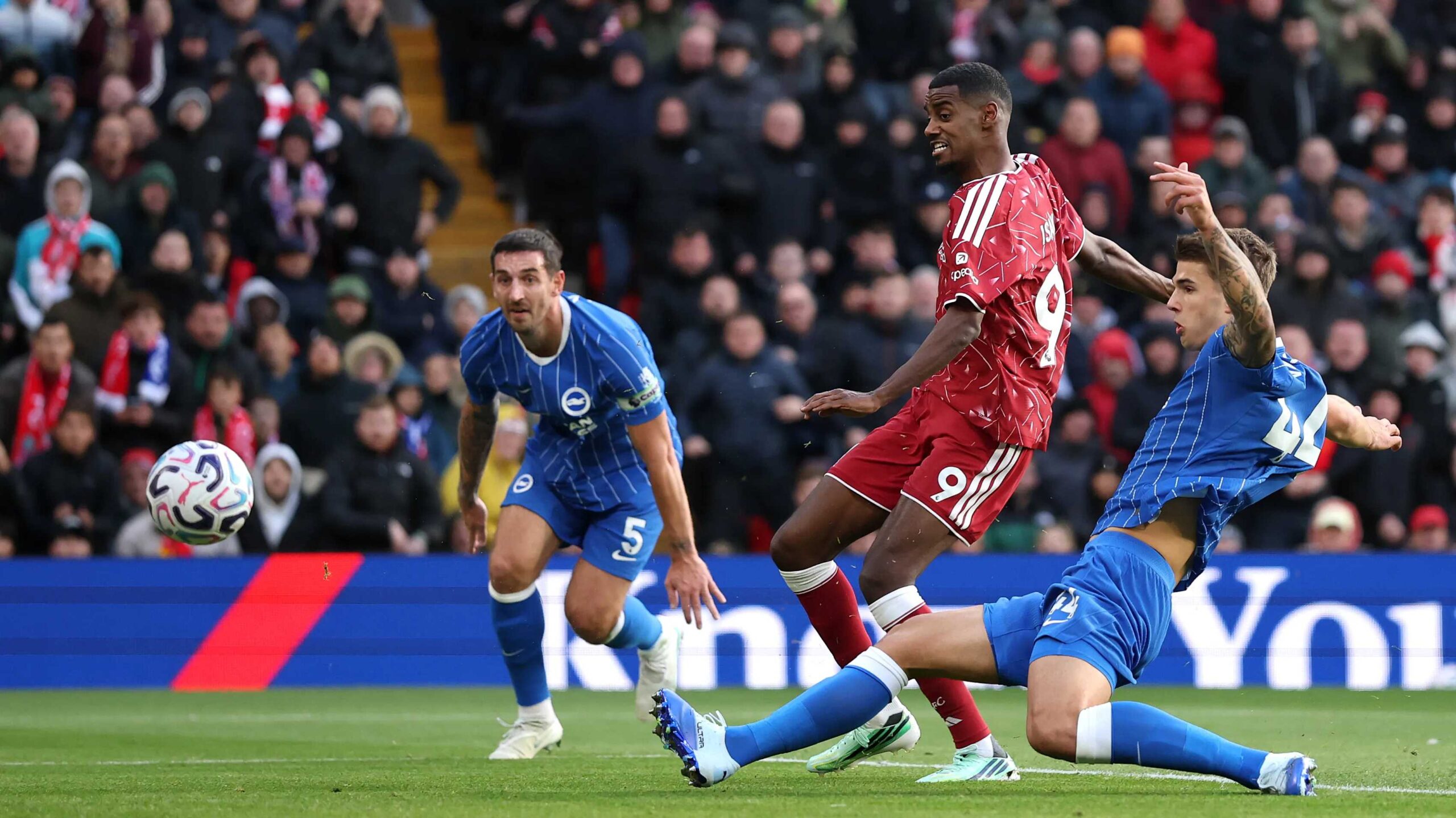 Liverpool end Brighton’s unbeaten run with two first-half goals