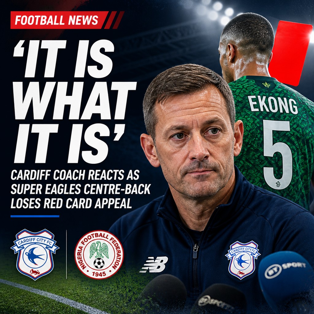 Cardiff City appeal fails over Gabriel Osho red card Cardiff City appeal fails over Gabriel Osho red card