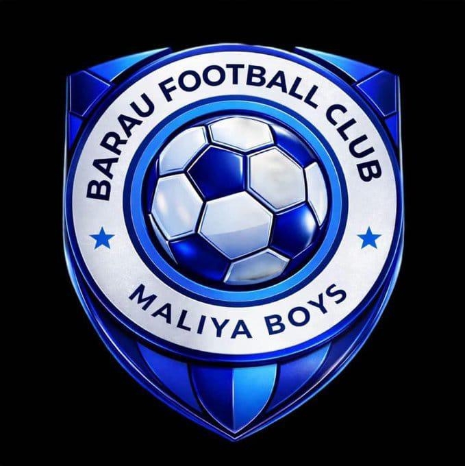 NPFL issues Barau FC security warning after steward breach